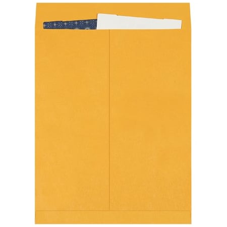 Bsc Preferred 16 x 20'' Kraft Jumbo Envelopes, 100PK BUY00018735